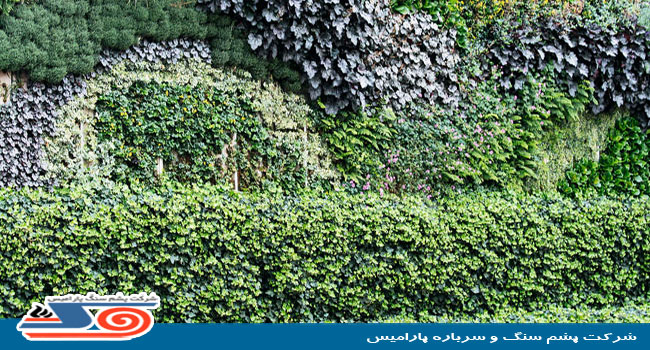 green wall with rockwool 03